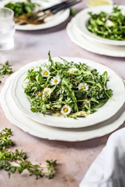 Wildkräuter im Herbst und Winter