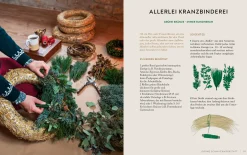 Wintergrün & Sternanis