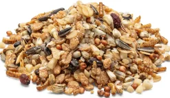 Wintermischung für Weich- und Körnerfresser