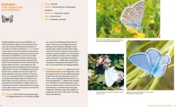 Wo die wilden Nützlinge wohnen