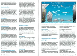 Wolken und andere Phänomene am Himmel