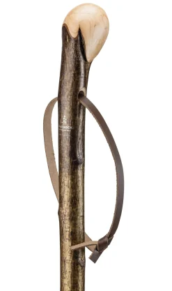 Wurzelwanderstock Hasel