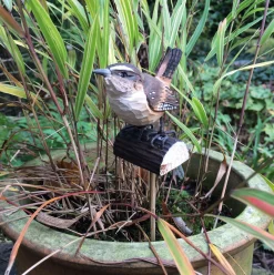 Zaunkönig Lindenholz handgeschnitzt